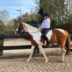 Profielfoto van Noa op Oppasland